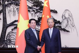 Chủ tịch nước Lương Cường hội kiến Ủy viên trưởng Nhân đại toàn quốc Trung Quốc Triệu Lạc Tế. (Ảnh: Lâm Khánh/TTXVN)