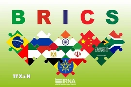 Quốc kỳ các nước thành viên BRICS. (Ảnh: IRNA/TTXVN)
