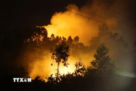 Hiện trường vụ cháy trên núi Bàn Cờ (xã Quỳnh Phú, Nghệ An) trong đêm 30/6. (Ảnh: Xuân Tiến/TTXVN)