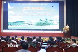 Quang cảnh hội nghị. (Ảnh: Trọng Đạt/TTXVN)