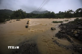 Nước lũ. (Ảnh minh họa: Trọng Đạt/TTXVN)