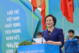 Phó Thủ tướng Chính phủ Phạm Thị Thanh Trà phát biểu. (Ảnh: Hoàng Ngà/TTXVN)