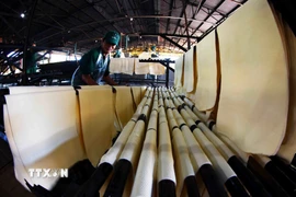 Hoạt động tại nhà máy của Công ty Trách nhiệm hữu hạn Một thành viên Cao su Kon Tum. (Ảnh: Vũ Sinh/TTXVN)