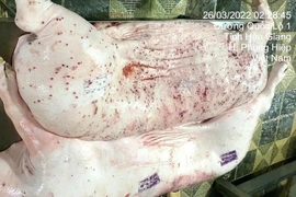 Thịt bệnh được đóng dấu kiểm dịch. (Ảnh từ Facebook Jonny Lieu)