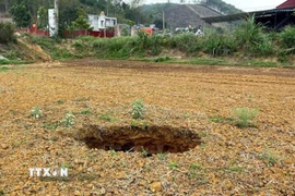 (Ảnh minh họa: Nguyễn Công Hải/TTXVN)