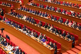 Quang cảnh phiên khai mạc Đại hội XIV của Đảng. (Ảnh: TTXVN)