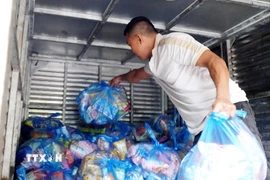 Xếp hàng cứu trợ lên xe tải để chở vào cứu trợ người dân vùng lũ Gia Lai. (Ảnh: Lê Phước Ngọc/TTXVN)