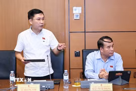 Đại biểu Quốc hội tỉnh Gia Lai Lê Hoàng Anh phát biểu. (Ảnh: Doãn Tấn/TTXVN)