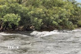 Một khu vực nước suối chảy xiết ở xã Hòa Bắc, huyện Hòa Vang (Đà Nẵng). (Ảnh: Xuân Quý/TTXVN)