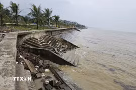Tuyến kè biển Hải Tiến dài khoảng 300m bị sóng biển đánh sụt lún, nứt gãy. (Ảnh: Việt Hoàng/TTXVN)