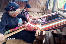 Nghệ nhân người Bana Kriêm thôn Hà Ri giữ gìn nghề dệt thổ cẩm truyền thống của dân tộc mình. (Ảnh: Lê Phước Ngọc/TTXVN)