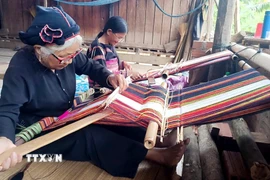 Nghệ nhân người Bana Kriêm thôn Hà Ri giữ gìn nghề dệt thổ cẩm truyền thống của dân tộc mình. (Ảnh: Lê Phước Ngọc/TTXVN)
