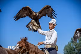 Màn trình diễn săn đại bàng tại lễ hội dân gian ở làng Bokonbaevo, Kyrgyzstan, ngày 1/8/2026. (Ảnh: THX/TTXVN phát)
