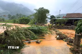Nước lũ cuốn theo cây cối, bùn đất tràn vào thôn Chì, xã Xuân Giang (tỉnh Tuyên Quang). (Ảnh: Minh Tâm/TTXVN)