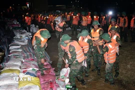 Cán bộ, chiến sỹ Sư đoàn 325 (Quân đoàn 12) giá cố đê các xã Hợp Thịnh, Tam Giang, Hoàng Vân, tỉnh Bắc Ninh. (Ảnh: Danh Lam/TTXVN)