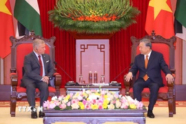 Tổng Bí thư Tô Lâm tiếp Quốc vương Jordan Abdullah II ibn Al Hussein. (Ảnh: Văn Điệp/TTXVN)