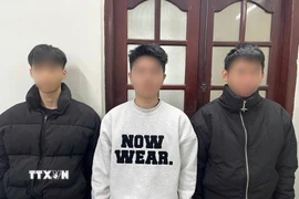 Các đối tượng tại Cơ quan Cảnh sát điều tra Công an tỉnh Tuyên Quang. (Ảnh: TTXVN phát)