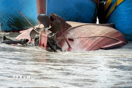 (Ảnh minh họa: Nguyễn Thanh/TTXVN)