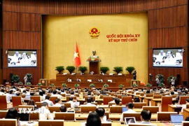 Quang cảnh phiên họp sáng 12/5. (Ảnh: Doãn Tấn/TTXVN)