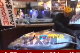 Nhật Bản: Kỷ lục đấu giá cá ngừ vây xanh 3,2 triệu USD