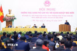 Hội nghị Thường trực Chính phủ làm việc với doanh nghiệp nhà nước. (Ảnh: Dương Giang/TTXVN)