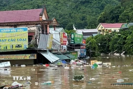 Hàng nghìn nhà dân xã Tương Dương, Nghệ An chìm trong biển nước.(Ảnh: TTXVN phát)