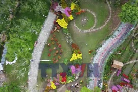 Bản đồ Việt Nam được tạo hình từ khoảng 1.000 giống hoa kiểng