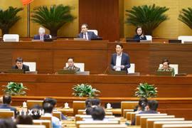 Bộ trưởng Bộ Công an Lương Tam Quang giải trình, làm rõ một số vấn đề đại biểu Quốc hội nêu. (Ảnh: Doãn Tấn/TTXVN)