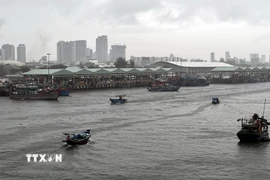 Tàu thuyền neo đậu tránh bão an toàn tại Âu thuyền Thọ Quang (Đà Nẵng). (Ảnh: Trần Lê Lâm/ TTXVN)