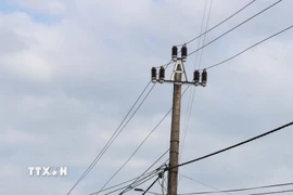 (Ảnh minh họa: Thanh Thủy/TTXVN)