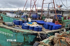 Tàu BV-92997-TS cùng tang vật và các tàu vi phạm khác được neo ở khu vực riêng tại âu thuyền Bắc Trạch, xã Bắc Trạch, tỉnh Quảng Trị. (Ảnh: TTXVN phát)