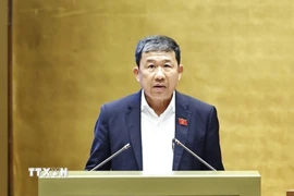 Đồng chí Vũ Hải Hà. (Ảnh: TTXVN)