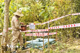 Hiện trường hủy nổ bom mìn của tổ chức PeaceTrees Vietnam tại xã Hướng Tân, huyện Hướng Hóa, tỉnh Quảng Trị. (Ảnh: Nguyên Linh/TTXVN)