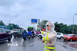(Ảnh minh họa: TTXVN phát)
