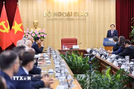 Bộ trưởng Ngoại giao Lê Hoài Trung phát biểu tại buổi gặp mặt. (Ảnh: Minh Đức/TTXVN)