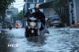(Ảnh: Phạm Tuấn Anh/TTXVN)