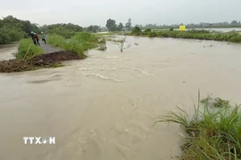 Khu vực Suối Giữa đoạn chảy qua các phường Tương Bình Hiệp, Chánh Mỹ và Hiệp Thành xảy ra tình trạng vỡ bờ bao, dòng nước tràn vào khu dân cư, gây thiệt hại về tài sản và hoa màu của hàng chục hộ dân. (Ảnh: Dương Chí Tưởng/TTXVN)