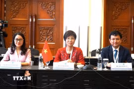 Đoàn đại biểu TTXVN do Tổng Giám đốc Vũ Việt Trang làm trưởng đoàn tham dự Hội nghị Ban chấp hành OANA tại Malaysia. (Ảnh: Hằng Linh/TTXVN)