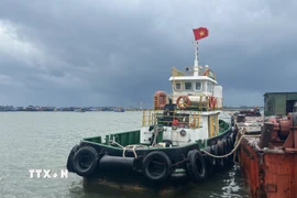 Tàu thuyền neo đậu tại vị trí an toàn tại cảng cá Thuận An, Huế. (Ảnh minh họa: Văn Dũng/TTXVN)