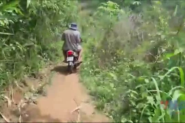 Gia Lai: Theo chân lực lượng chức năng đột nhập hầm vàng trong rừng phòng hộ