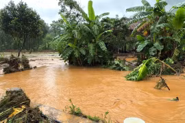 Nước lũ ở xã Xuân Giang (Tuyên Quang) dâng cao, cuốn theo nhiều cây cối và vật dụng. (Ảnh: Minh Tâm/TTXVN)