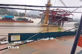 Nước lũ dâng cao trên sông Đáy. (Ảnh: TTXVN phát)