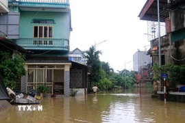 Việc đi lại của người dân Lào Cai gặp khó khăn do nước sông Hồng rút chậm. (Ảnh: Đinh Thùy/TTXVN)