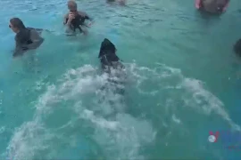 Độc đáo cuộc thi bơi dành cho chó lớn nhất nước Anh