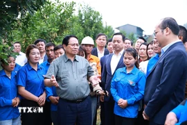 Thủ tướng Phạm Minh Chính thăm mô hình phát triển kinh tế nông nghiệp tại xã Pu Nhi, tỉnh Điện Biên. (Ảnh: Dương Giang/TTXVN)