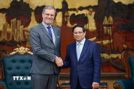 Thủ tướng Phạm Minh Chính tiếp ông Erkki Maillard, Giám đốc các vấn đề quốc tế và chính phủ, cố vấn Chủ tịch Tập đoàn Điện lực Pháp (EDF). (Ảnh: Dương Giang/TTXVN)