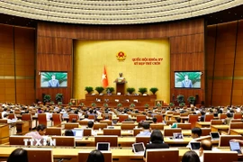 Phó Chủ tịch Quốc hội Vũ Hồng Thanh phát biểu. (Ảnh: Doãn Tấn/TTXVN)