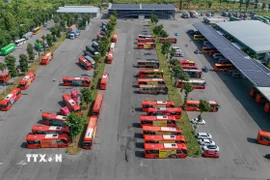Phương tiện của Công ty CP Xe khách Phương Trang hoạt động tại Bến xe Trung tâm Cần Thơ. (Ảnh: Thanh Liêm/TTXVN)