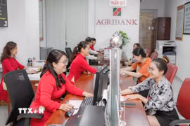 Khách hàng giao dịch tại Agribank Chi nhánh Bến Thành, Thành phố Hồ Chí Minh. (Ảnh: TTXVN phát)