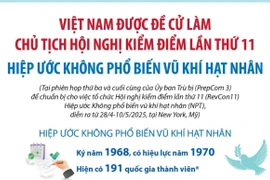 Việt Nam được đề cử làm Chủ tịch Hội nghị kiểm điểm lần thứ 11 của NPT